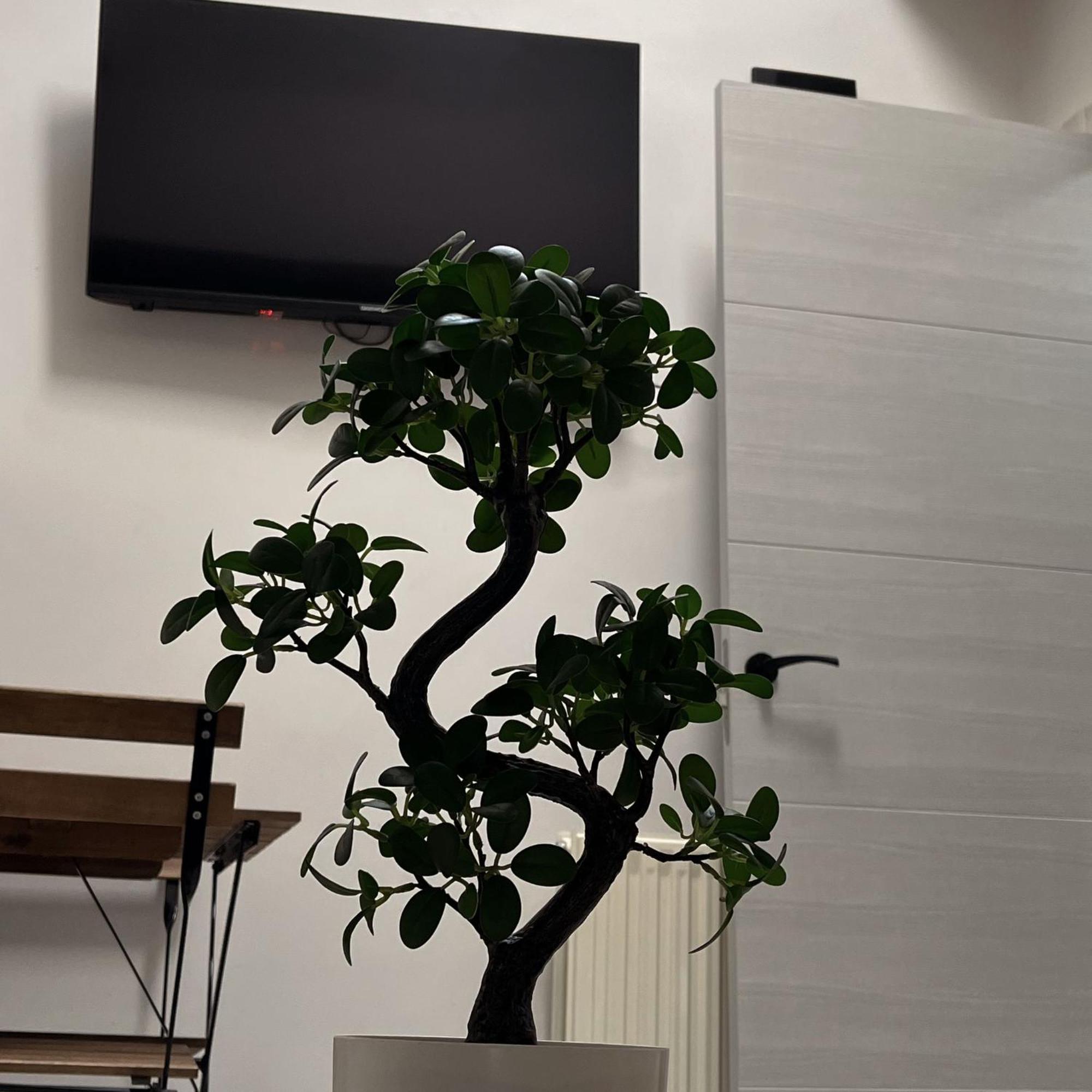 Apartamento Calera Burgo Εξωτερικό φωτογραφία